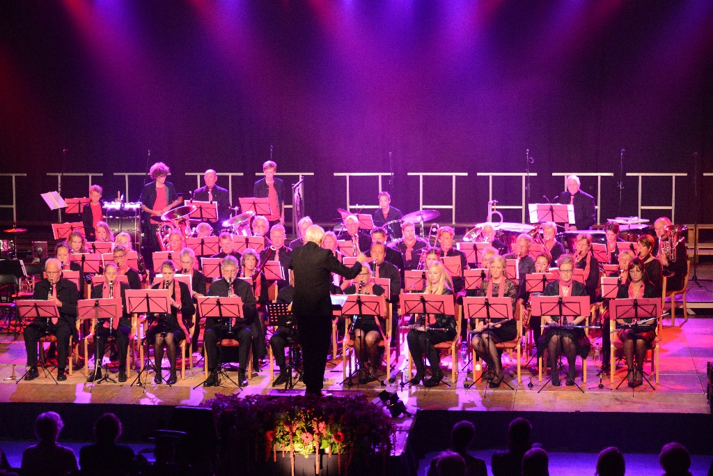 ../Images/Jubileumconcert 100 jaar Harpe Davids 080.jpg